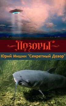 Юрий Мишин - Секретный Дозор