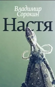 Владимир Сорокин - Настя