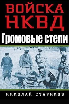 Николай Стариков - Громовые степи